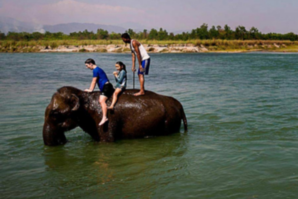 Chitwan Jungle Safari - Pinnacle Treks & expedition - Adventure ...